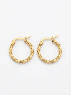 Boucle d'oreille Acier inoxydable PM