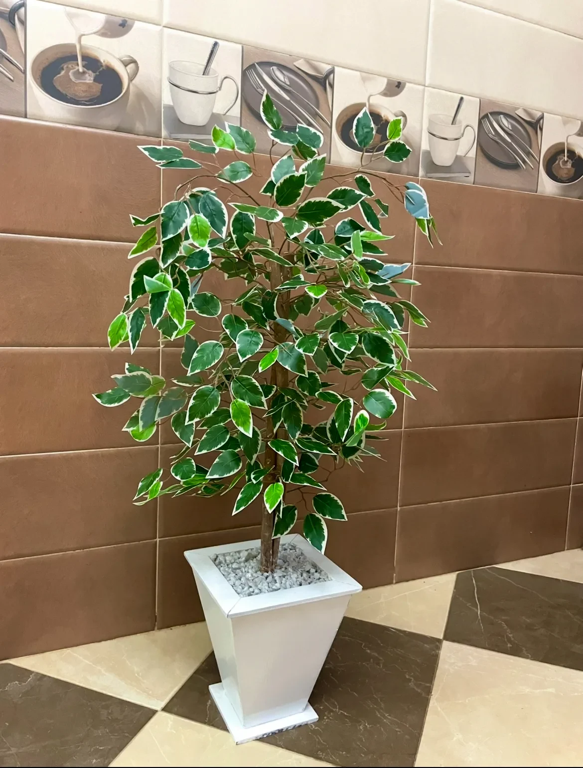 Ficus artificielle 80 cm - شجرة فيكوس اصطناعية