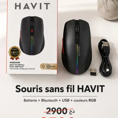 Souris sans fil HAVIT: Bleuteuth+ Batterie+ USB+ RGB