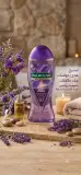 Palmolive جال دوش بعطر اللافندر 500ml