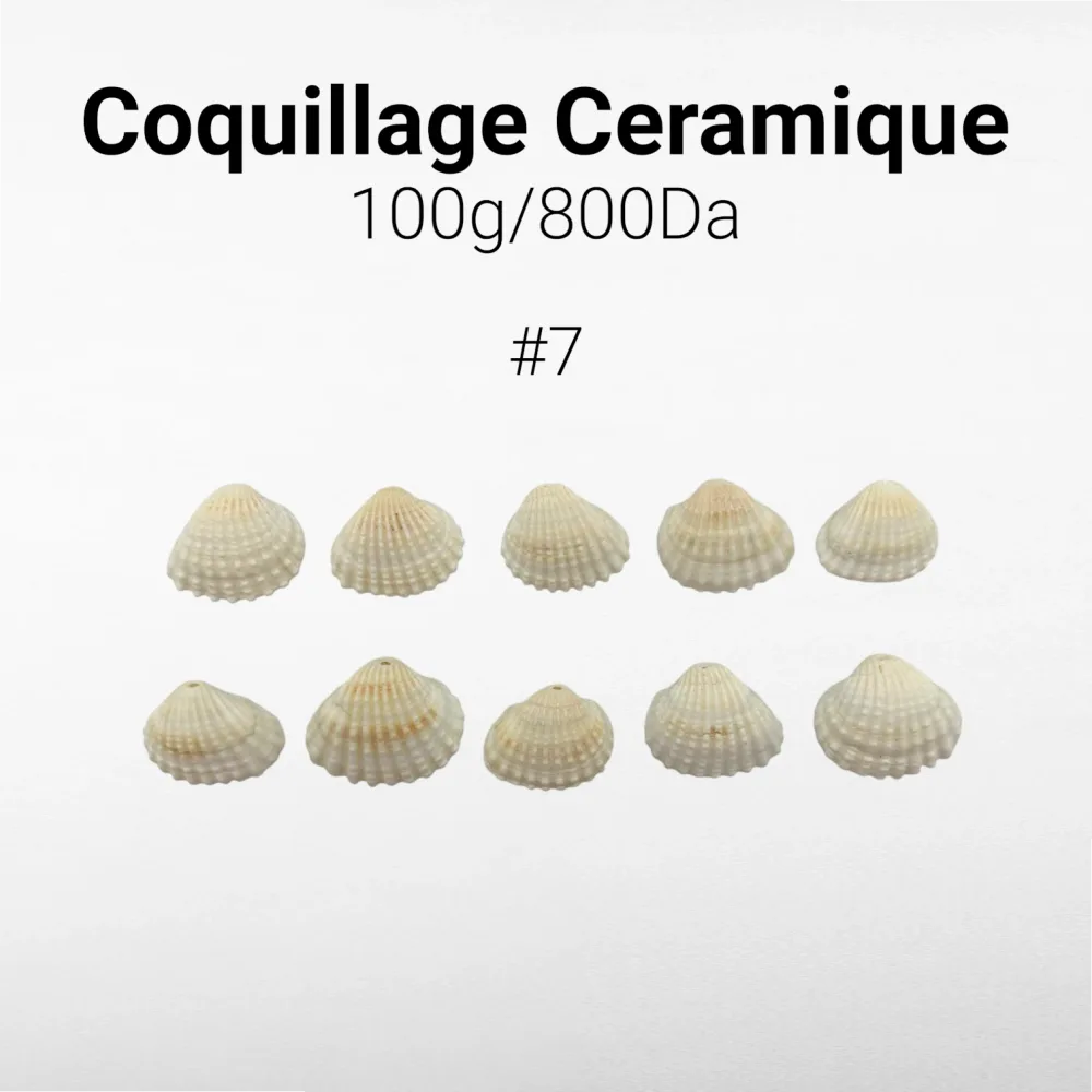 Coquillage Ceramique