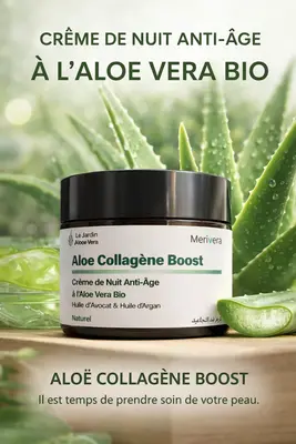 Crème de nuit anti-âge Aloe collagène boost
