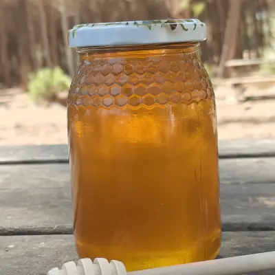 عسل شوك الجمل للكبد