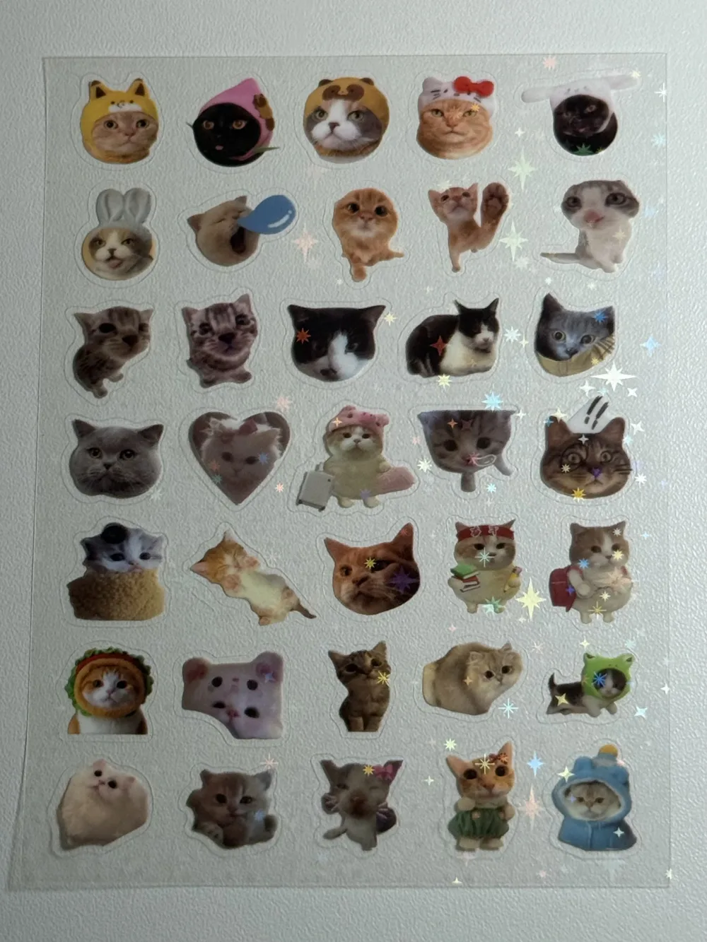 Water proof cat stickers sheet