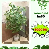 Ficus artificielle 180 cm - شجرة فيكوس اصطناعية