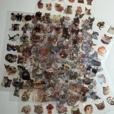 Water proof cat stickers sheet