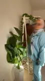 Ensemble SABAYA qualité supérieure en BLEU