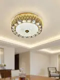 مصباح السقف الفاخر