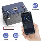Module de Contrôle et de Surveillance de l'état de Batterie du Véhicule