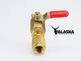 Vanne Rapid de flexibile R22