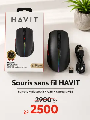 Souris sans fil HAVIT: Bleuteuth+ Batterie+ USB+ RGB