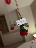 بــوكس جــوري