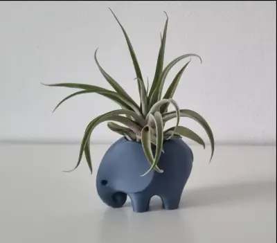 cache pot