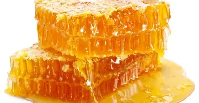 عسل الجبلي الحر