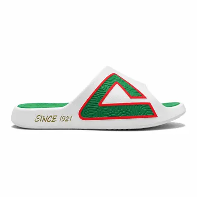 Peak TAICHI MCA SLIPPERS_WHITE/GREEN