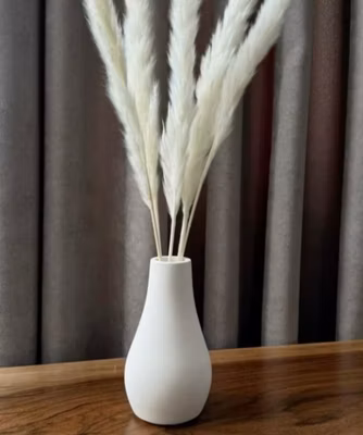 فاز نافورة سامبل