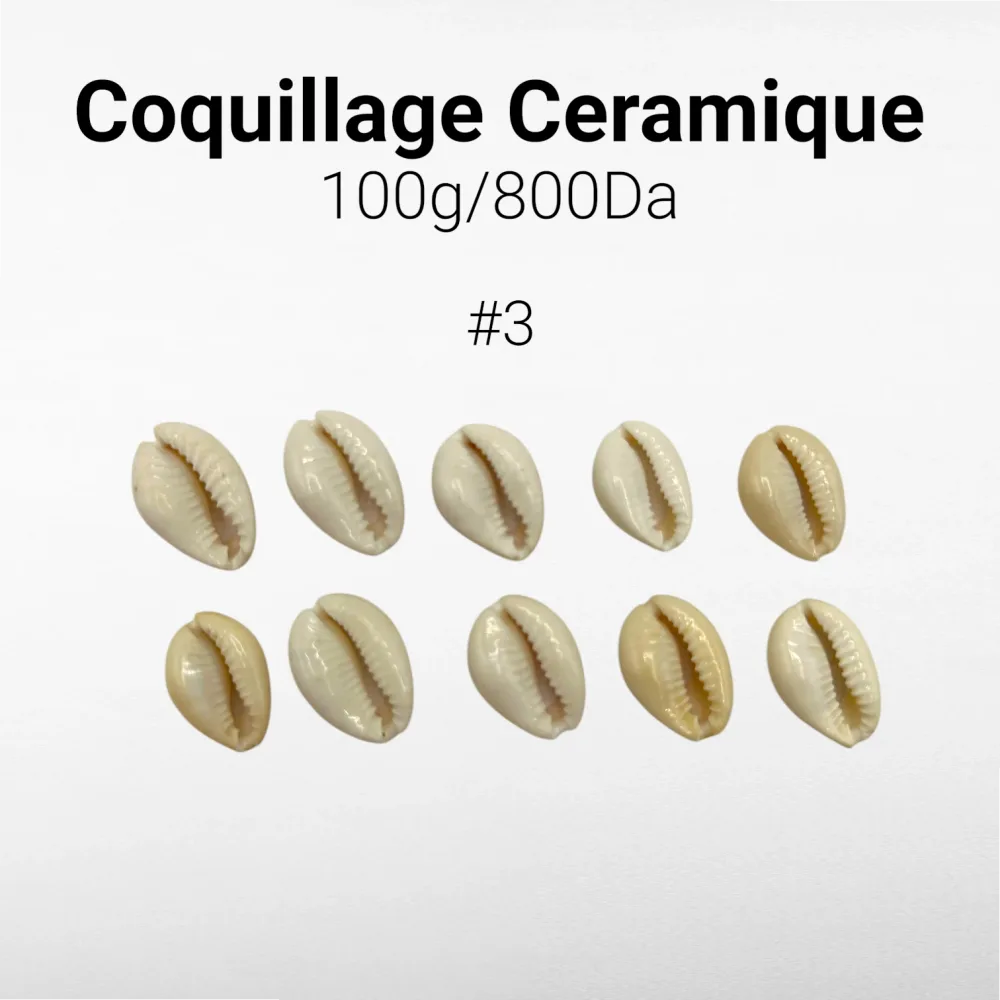 Coquillage Ceramique