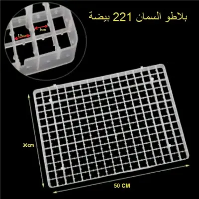 بلاطو 221 بيضة سمان