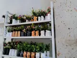 مجموعة فازات الزهور الديكورية المصغّرة