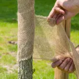 Toile de jute