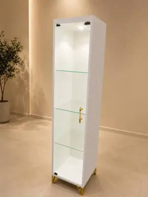 فيترينا زجاجية عصرية مع إنارة وقفل (Vitrine d’affichage)