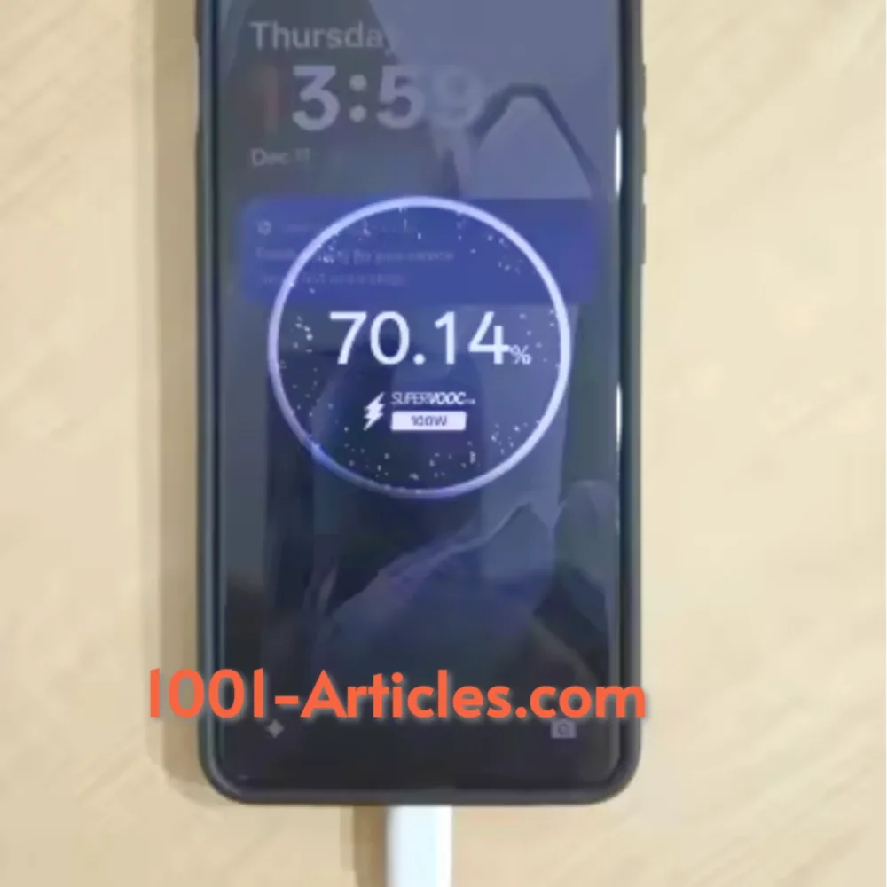 Chargeur Original Type C - Super VOOC 80W - OnePlus