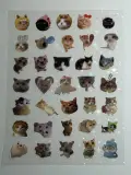 Water proof cat stickers sheet