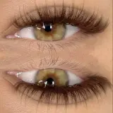 Brown bunny lashes