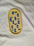 قوالب كونكريت