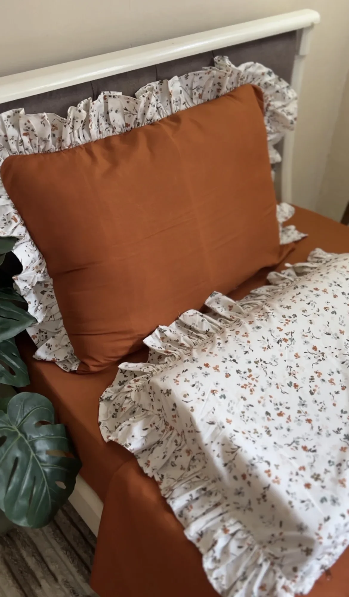 كاش كوات cashe couette softy