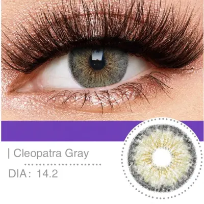 Cleo patra grey Lentille