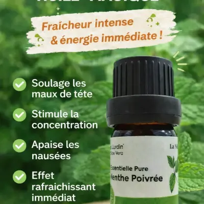 Huile essentielle de menthe poivrée زيت النعناع الفلفي