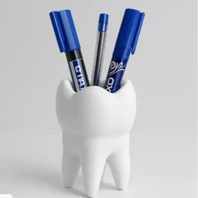 porte stylo dentaire  plus grand