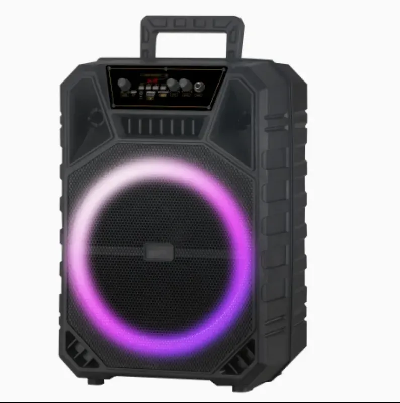 Jbr OEM 12inch Cost-Effective Sund Box Bluetooth Active Outdoor Party Portable Speaker