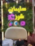 بوشات