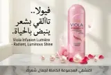 Viola شامبو