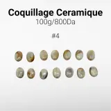 Coquillage Ceramique