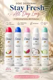 Deodorant DOVE