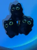 Black cat keychains