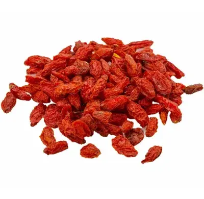 البربرين
