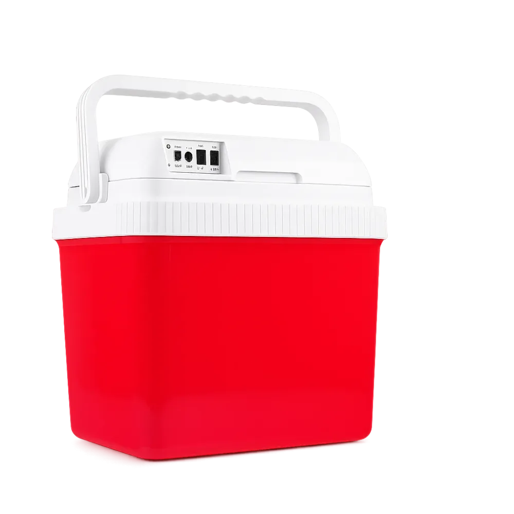 réfrigérateur Pour voiteur et glacière électrique