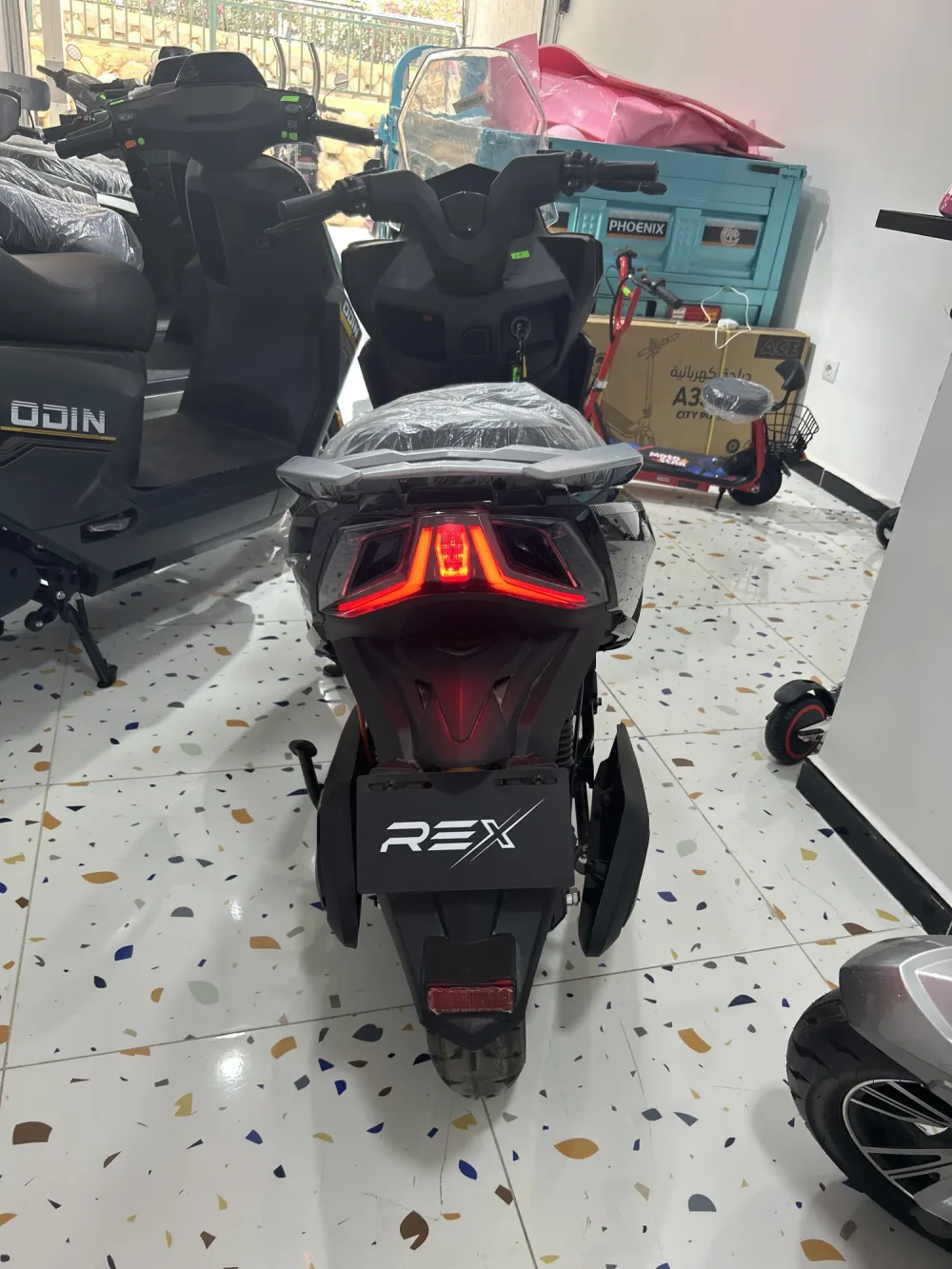 Rex zed max