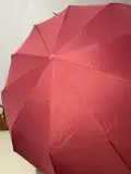 المظلة الأوتوماتيكية الفاخرة (حماية مضاعفة)