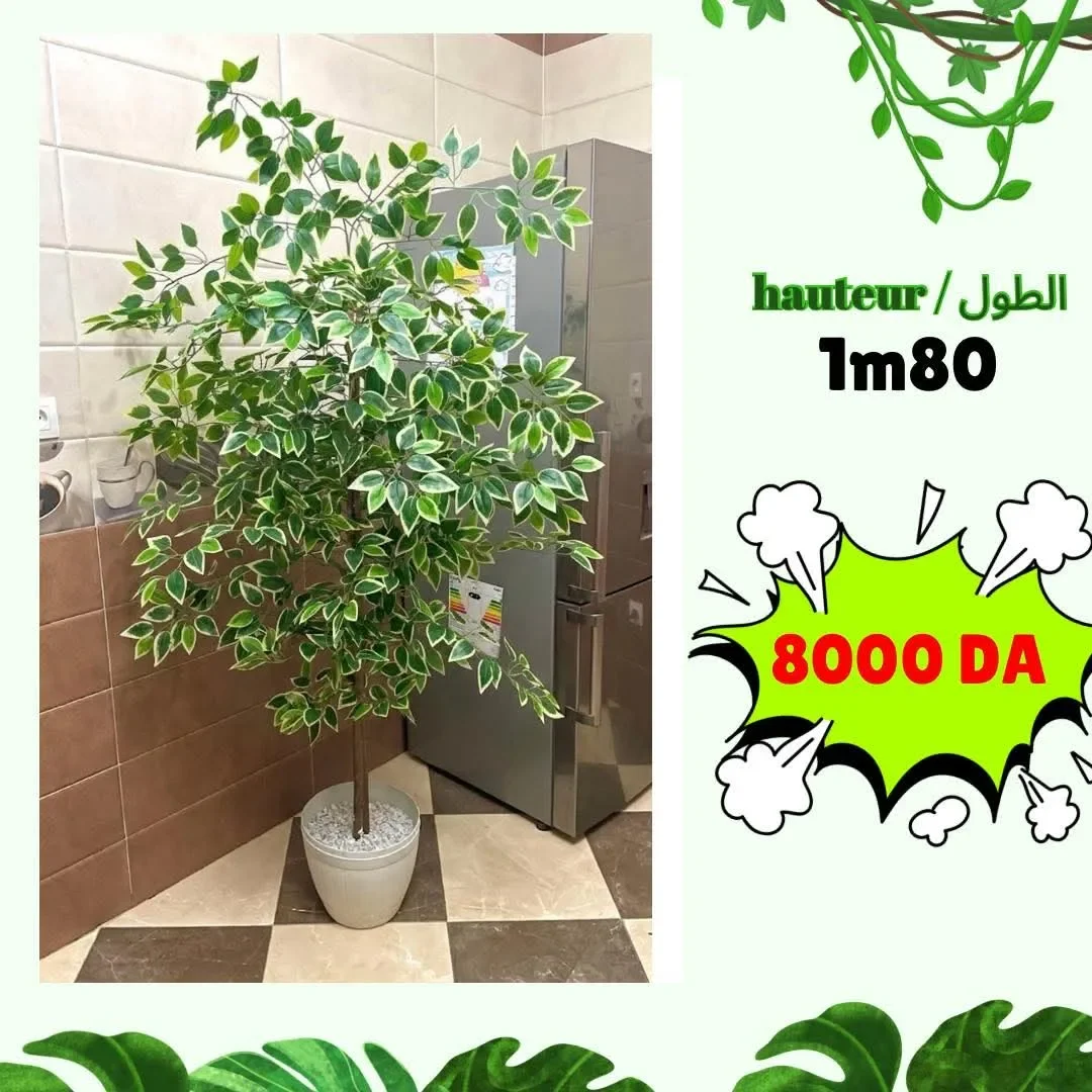 Ficus artificielle 180 cm - شجرة فيكوس اصطناعية