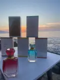 عطور نسائية