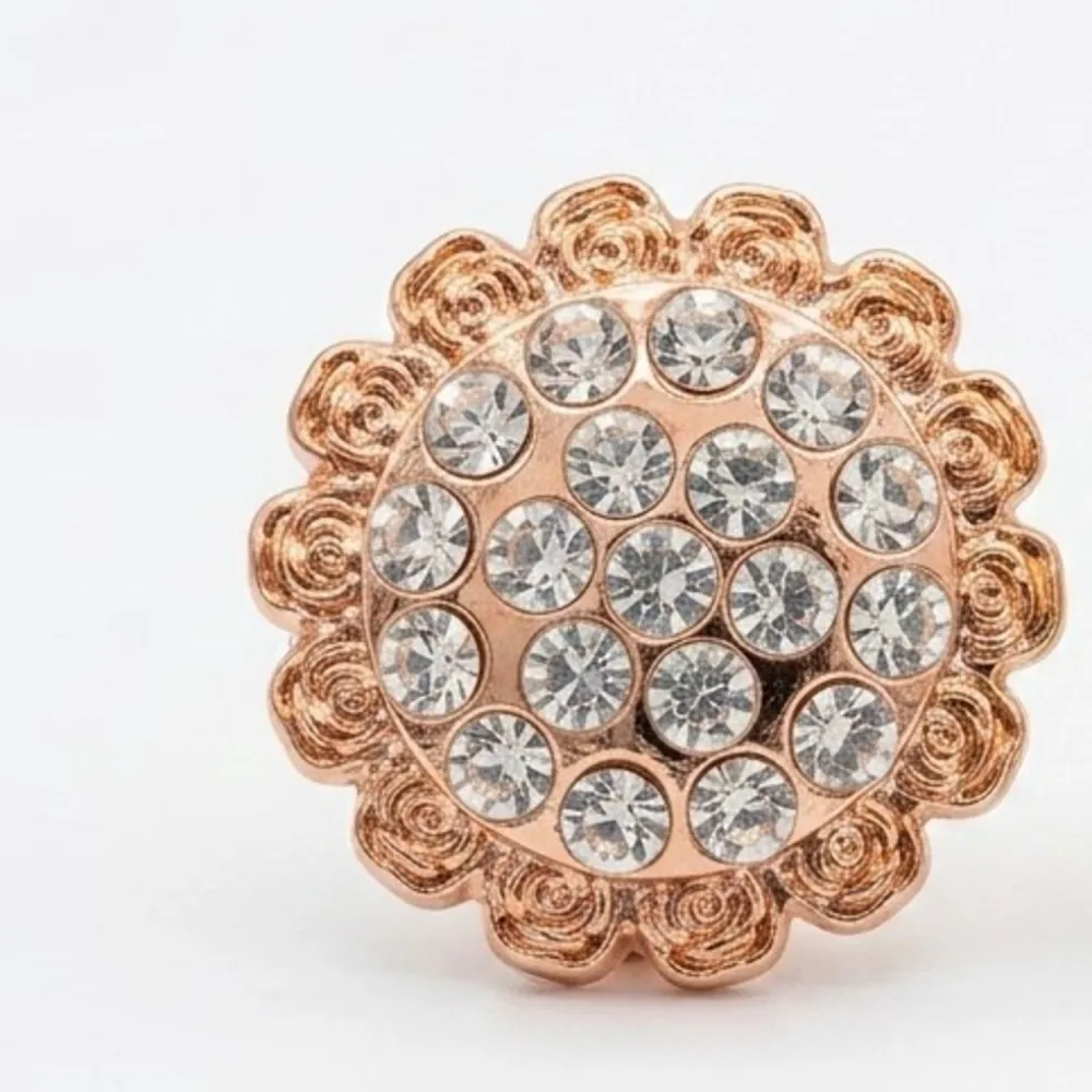Broche  Salon Plastique  B03