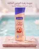 Venus جال دوش بعطر زهرة اللوتس 240ml