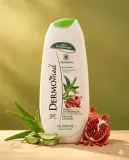 Dermomed جال دوش بعطر الصبار والرمان 250ml