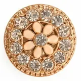 Broche  Salon Plastique B05