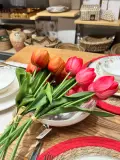GRAND FORMAT DU TULIPE 7 PIECE